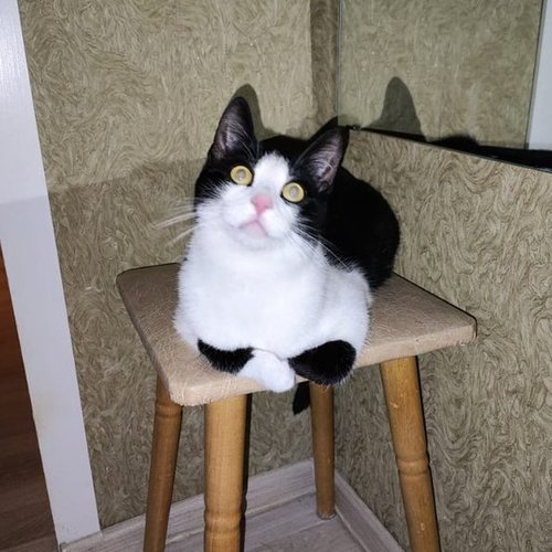 Марина, 21 декабря 2025