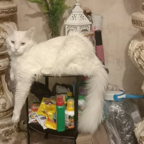 Галина, 20 января 2026