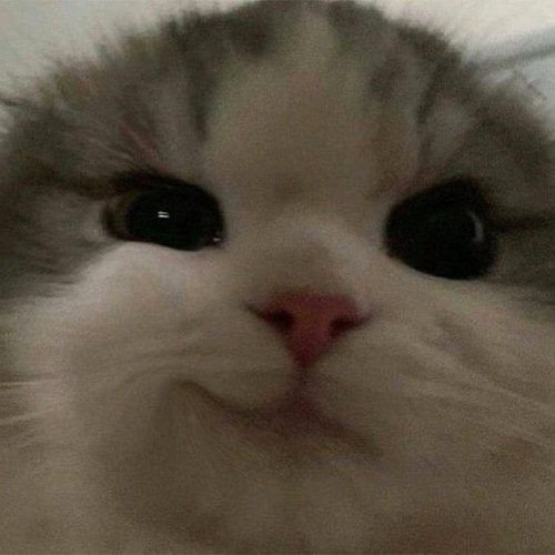 Владислав, 24 июля 2025