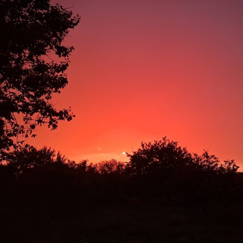 Наталия, 30 мая 2025