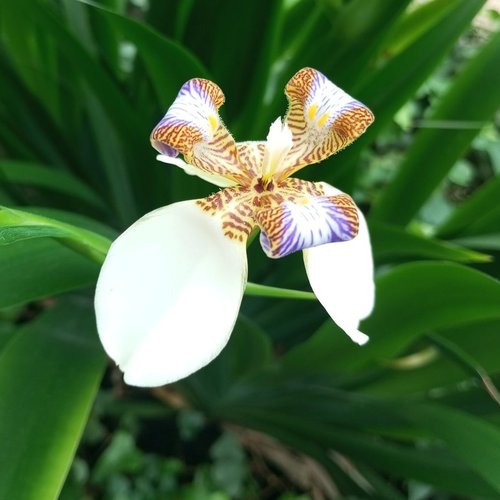 Алена, 17 октября 2025